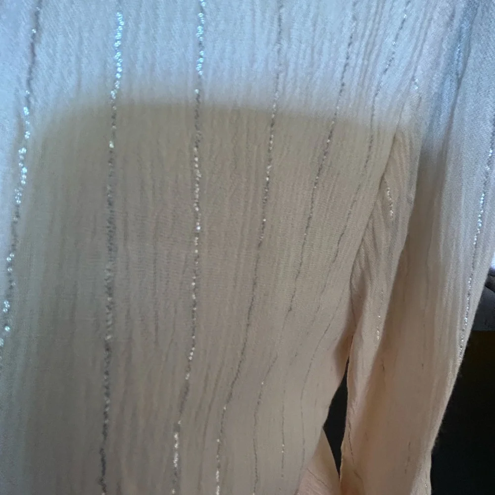 Fashion Nova cream with silver stripes short set zip up back. Plunging neckline.
